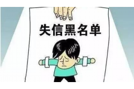 红山要账公司更多成功案例详情